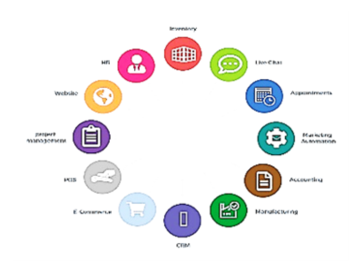 implementation of a globally recognized ERP system
